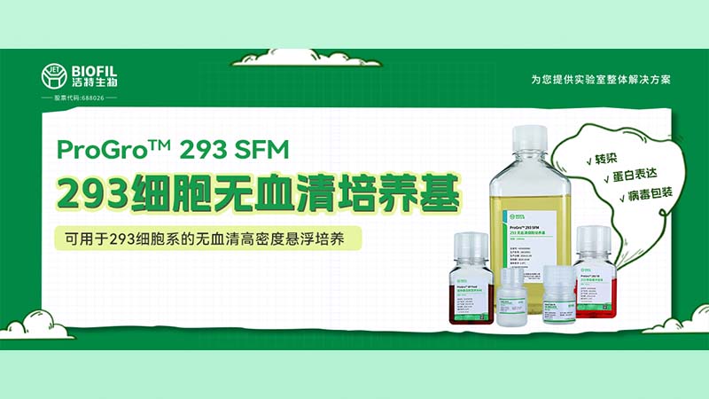 新品上線 | 不會還有人養(yǎng)不好293細(xì)胞吧？！